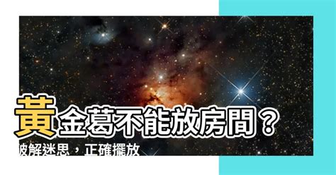 黃金葛可以放房間嗎